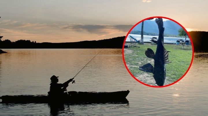 Por qué el Pez Diablo representa un grave peligro en la Presa La Boca