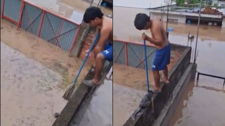 ¡Héroe sin capa! niño rescata a gatito de ahogarse tras las inundaciones de Veracruz