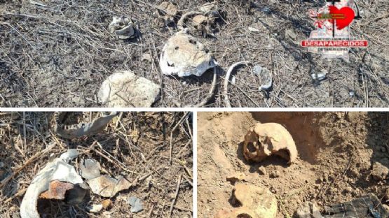 Hallan restos humanos en ejido al sur de Reynosa