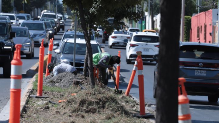 Inician obras de regeneración en Alfonso Reyes, San Pedro