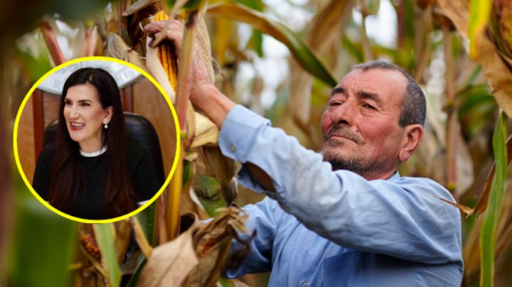 Diputada Kenia López llama a proteger a los productores de maíz en México