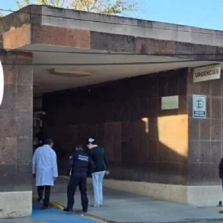 Mujer muere tras picadura de araña viuda negra en Montemorelos