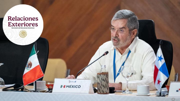 Canciller Juan Ramón de la Fuente pide licencia por operación