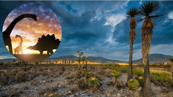 Descubren huellas de dinosaurios en Tehuacán, Puebla