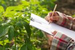 Pide Tamaulipas a agricultores inscripción al programa de Energía para el Campo