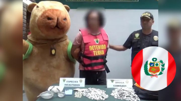 Policía peruano se disfraza de capibara para atrapar a un narcotraficante