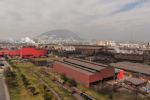 En la UANL, junto a plantas de Ternium, alarma plomo en aves