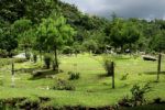 Medio Ambiente y diputados buscan transformar el desarrollo ecológico en Tamaulipas