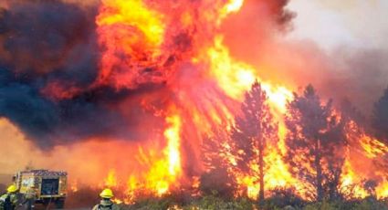 Incendios forestales consumen más de 36 mil hectáreas en Argentina