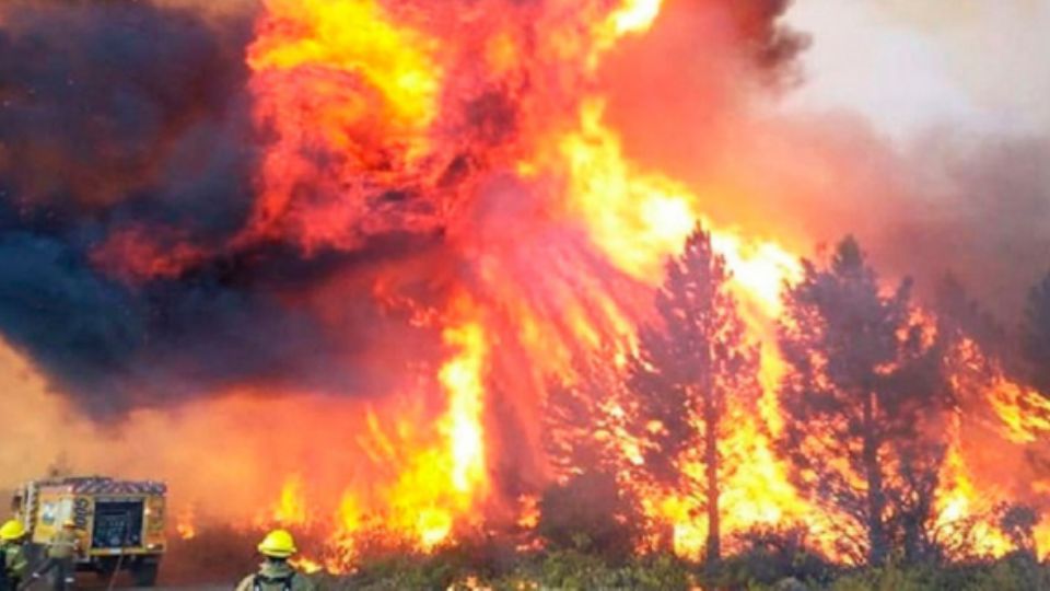 Los vientos, el humo y las altas temperaturas complicaban este domingo las tareas de los brigadistas desplegados en las provincias del sur de Argentina.