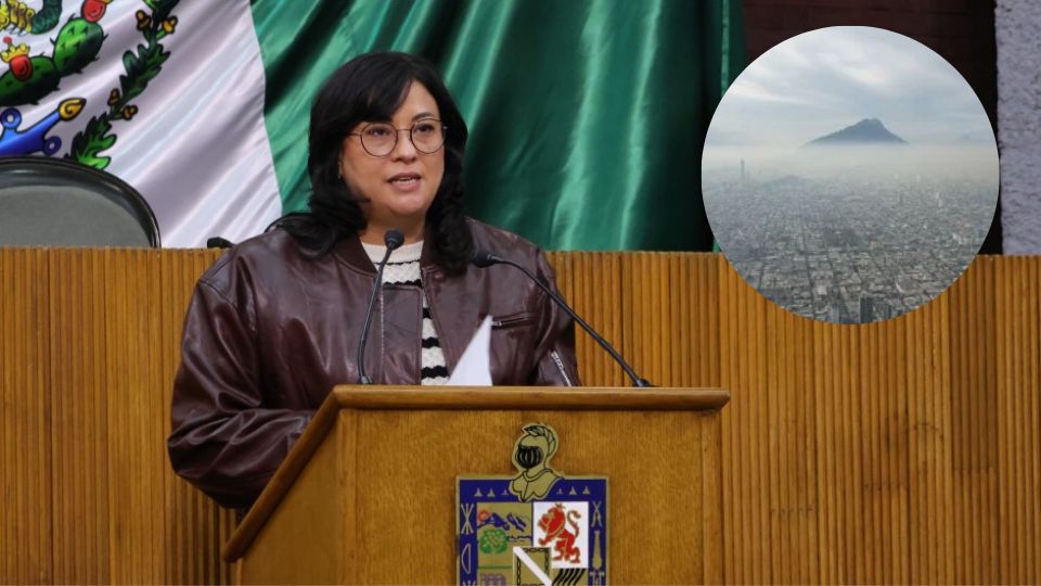 Diputada pide utilizar el impuesto verde para combatir la contaminación en NL.