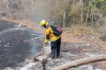 Incendios forestales del pasado fin de semana en Tamaulipas fueron provocados: Gobernador