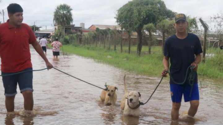 Declaran  'emergencia nacional' en Bolivia por inundaciones que han dejado 51 muertos