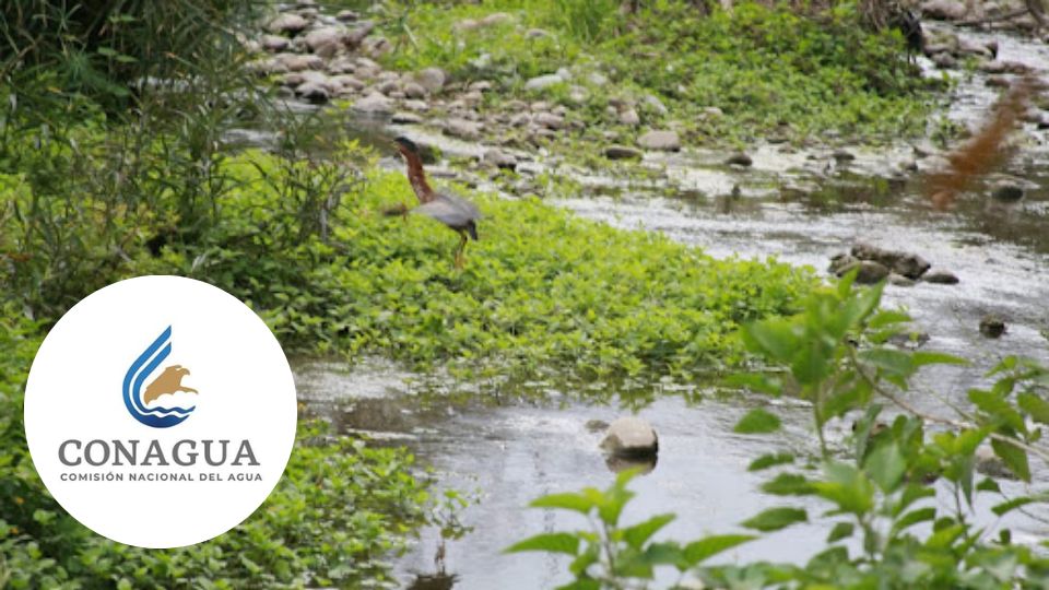 Río San Marcos | Gobierno Municipal de Victoria