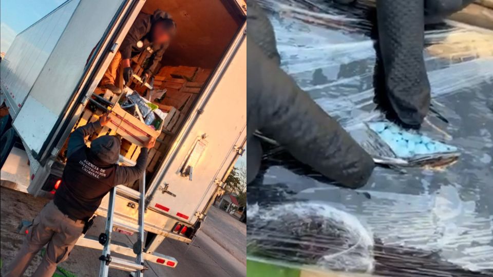 Fentanilo encontrado en cajas de nopales
