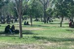 Alameda Marino Escobedo reverdece gracias a programa de reforestación