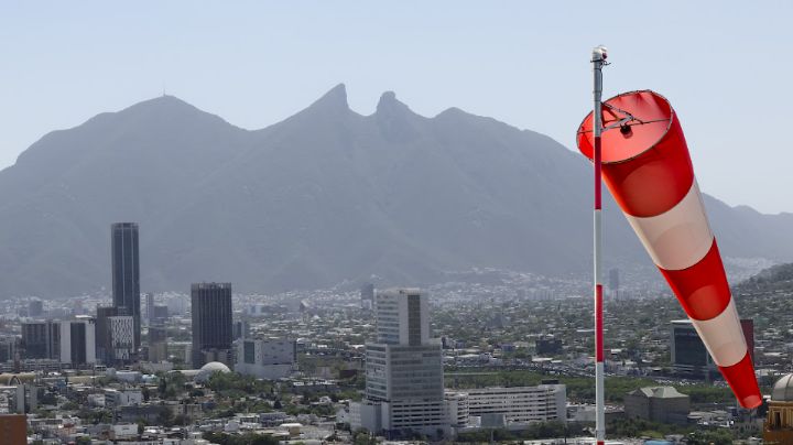 ¡Cuidado con los árboles! Vienen rachas de viento de hasta 70 km/h a Nuevo León