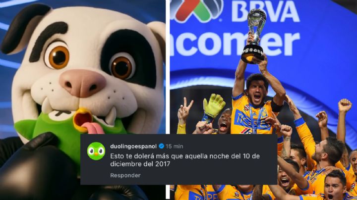 Rayados: Duolingo le recuerda a Monty la Final Regia de 2017 vs. Tigres, ¿por qué pelean?