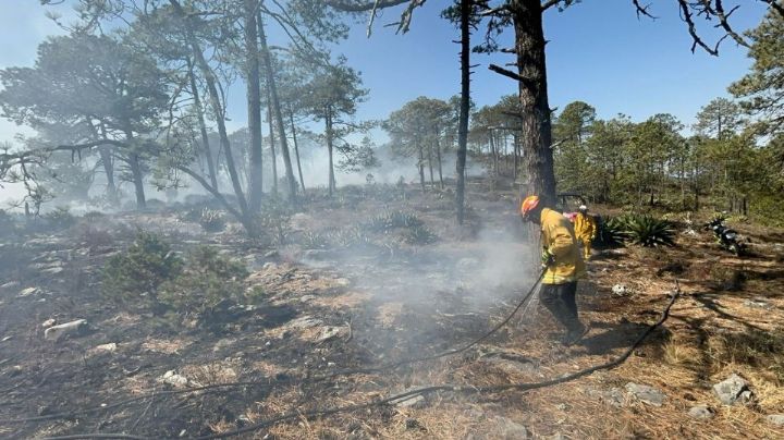 Continúa el combate de dos incendios en Galeana, NL