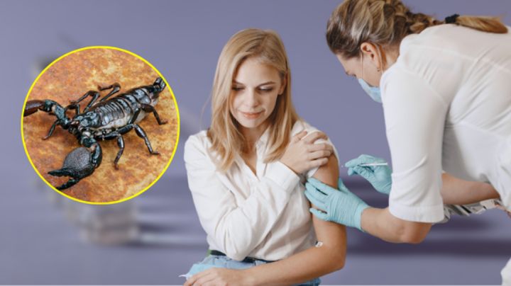 ¿Qué hacer si te pica un alacrán en Monterrey y dónde ir por ayuda médica?