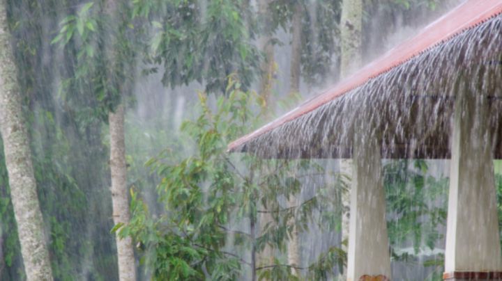 ¿Qué días habrá lluvia fuerte en Nuevo León? Esto dice el pronóstico