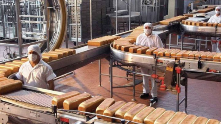 Ganancias de Bimbo caen 26% en el primer trimestre de 2025