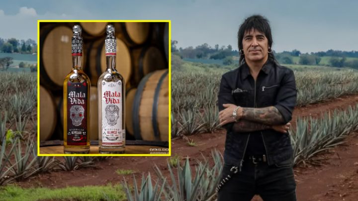 ¿Cuánto cuesta el tequila del baterista de Maná y dónde comprarlo? Aquí te decimos