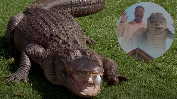 Muere ‘Morris’, el cocodrilo que participó en la película ‘Happy Gilmore’
