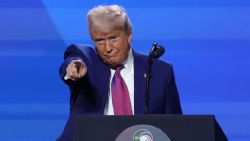 Ciudadanía por nacimiento se aprobó para los hijos de los esclavos: Donald Trump
