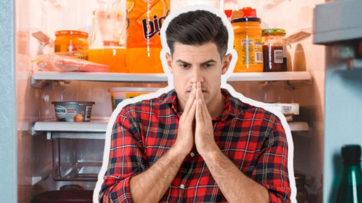 ¿Cuánto tiempo puede estar sin luz tu refri sin que se eche a perder la comida?