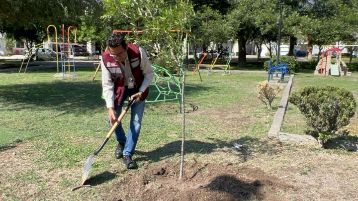 Santa Catarina refuerza la creación y mantenimiento de áreas verdes