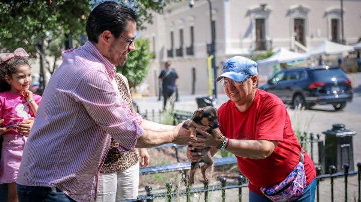 Santiago celebra Feria de Adopción y 18 perritos encuentran un nuevo hogar