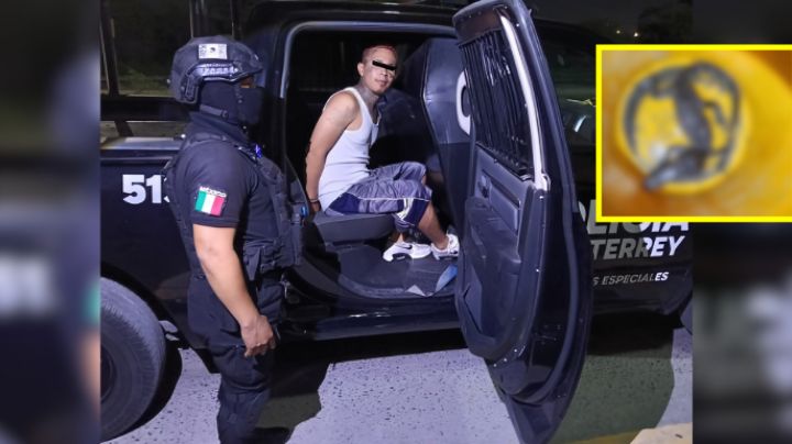 Sorprenden a hombre con caimán y droga en azoteas de Monterrey