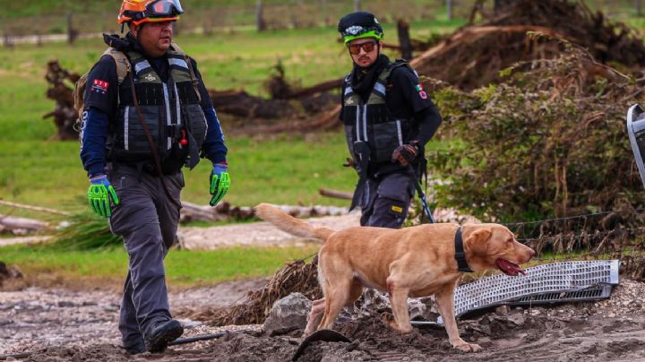 Rescatistas de NL inician labores de búsqueda en Texas con ayuda de binomios caninos