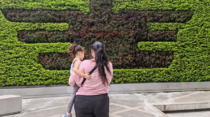 Regia denuncia abuso contra su hija en Canadá y busca protegerla en México