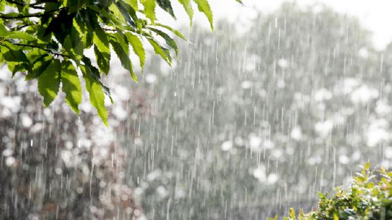 ¿Seguirán las lluvias? Nuevo frente frío se acerca a Nuevo León