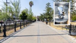 Canícula exhibe falta de bebederos y sombra en el área metropolitana