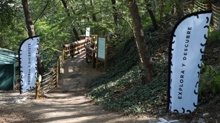 Chipinque retoma actividades tras cierre temporal por fuertes vientos