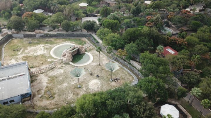 Zoológico La Pastora dona 39 animales a un rancho de Villaldama, NL
