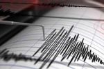 Se registra sismo de magnitud 3.9 en Ciénega de Flores, Nuevo León