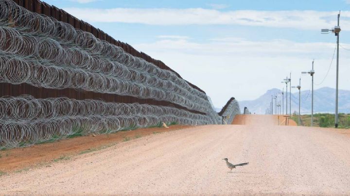 Mexicano gana premio de fotografía; capturó a un correcaminos en el muro fronterizo