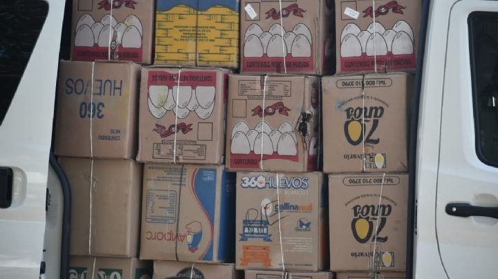 Hallan hasta 5 toneladas de cohetes escondidos en cajas de huevo en Monterrey