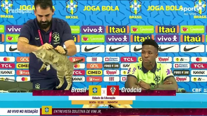 Encargado de prensa de Brasil echa bruscamente a gato de conferencia