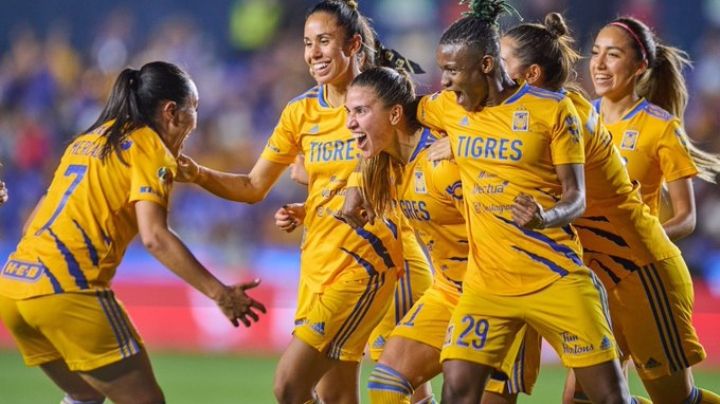 Firman Amazonas nueva alianza internacional