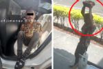 Hombre que arrojó tabique a joven dijo haberlo confundido con un monstruo