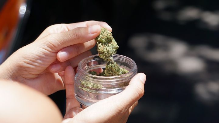 Universidad de Canadá montará tienda de mariguana