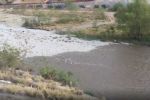 Río Santa Catarina capta agua tras lluvias en Nuevo León