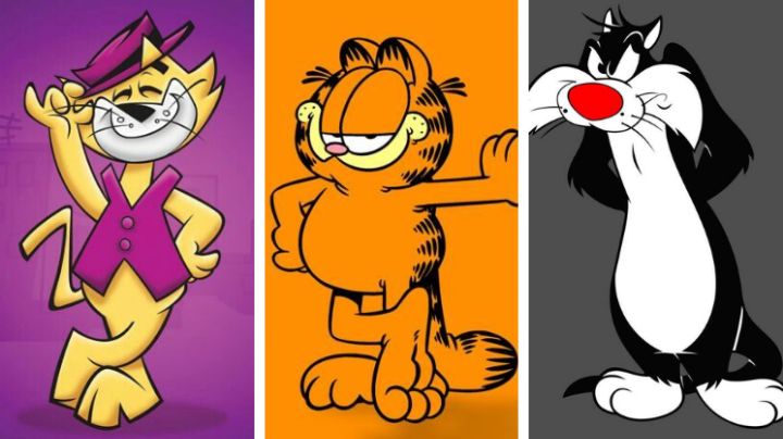 Día del Gato: ¿Cuáles son los mininos más famosos de la televisión?