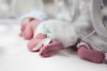 Mueren ocho bebés prematuros en un hospital de La Habana