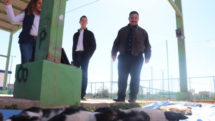 Cadereyta inicia campaña de esterilización a perros y gatos